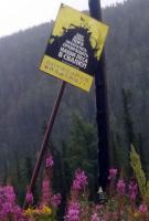 ���� � ���������� ������ ���� ����� �����-����������� ����