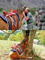 ����� �������� � ����.