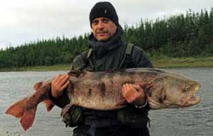 ������� ����� � 32 �� ������ � ������� 2003 ���� �� ���� ������ (������������ ����) ���������� �.�.