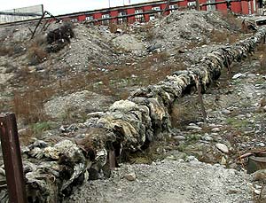 ������ ����� ������������ ������ ���������� ��� ����.