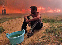 ��� ������ ���� ���������