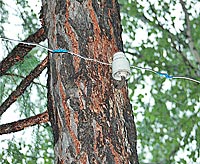 ...���������� �������� ����� �������������, ������� ��������� ����������� � �����...