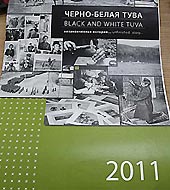 Кто подставил Шойгу?