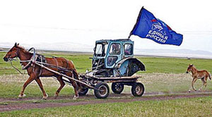 ���� ����������