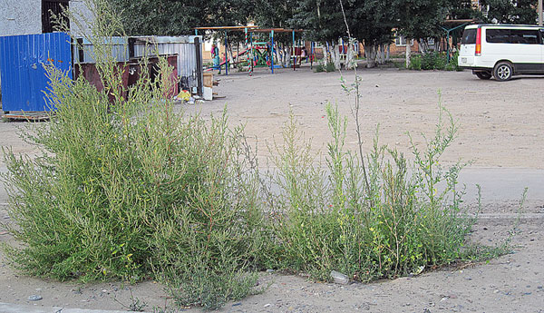 ���, ��������� ����� ����������, �������� ����� ������.