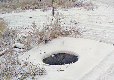 ��-��, ����, ������ ����-��������������� ����������� �����������.