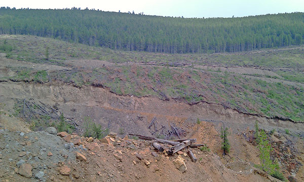 �������� � ������