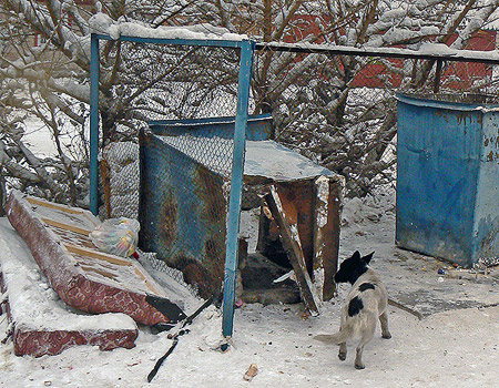  ������� ��� ���, � ��� � ��� �������!