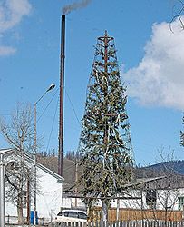 ����-����: � �������� ���������� �������