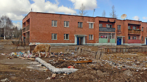 ����-����: � �������� ���������� �������