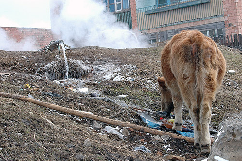 ����-����: � �������� ���������� �������