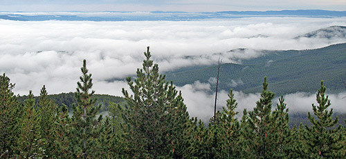 ���� ���� �����!�