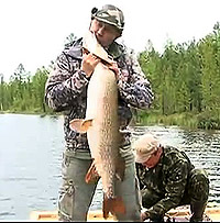 ������, ������... �������!