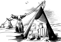 Афера с сетями?