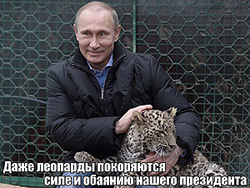 ����������� ��������������� ������ � ���������