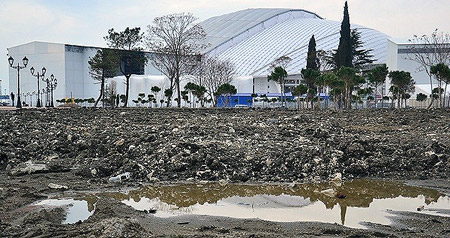 ���������: �������� �������