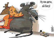 �� ������ ������ � ����������