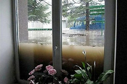 ��� ����� ������ �� ���������