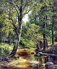 У лесной речки