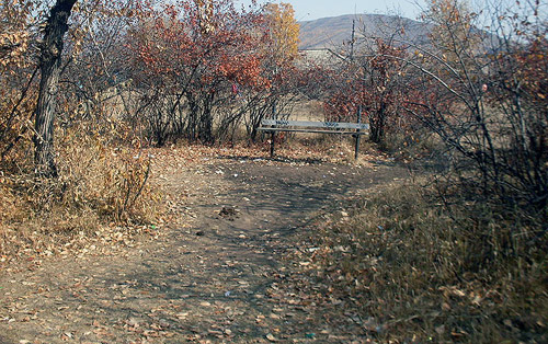 ������������ �������� � �����