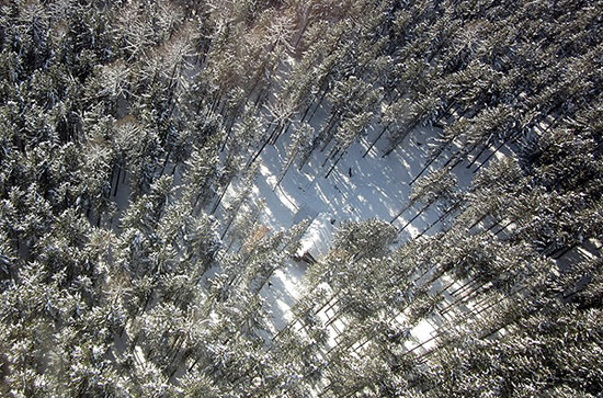 ��������� �������: ��������� �� ��� ����������