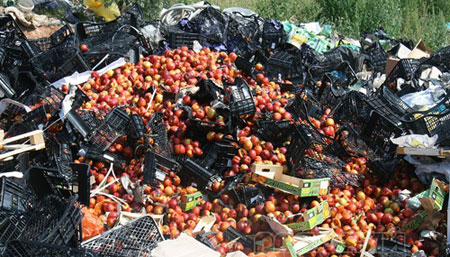 ����� ���