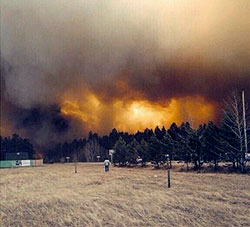 ����������� ������� ������ �� ����