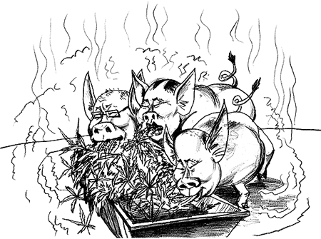 ������������� ����: ��� ��� �� ����������� ������?