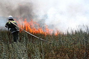 ����� � ����������