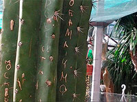 ��� ��� ���