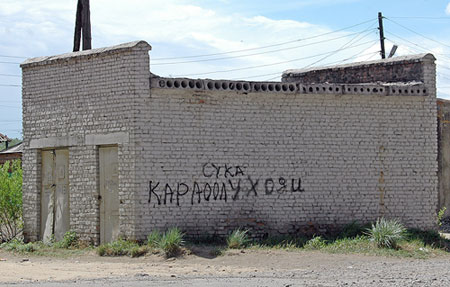 Доколе собаки будут бесчинствовать в Туве?!