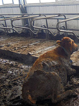 ������� �������� ����� �������!