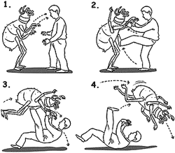 ��� ���������� �� �����