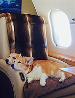 � ����� ���������� ��� �����