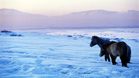 �� ������ ����� ������� ������� �������� ���� �������� ��������