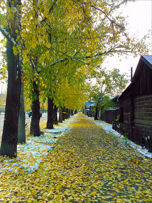 �����: � ��� ��� ���� ���������