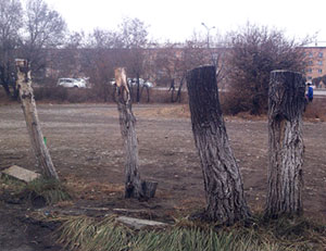 �����: � ��� ��� ���� ���������