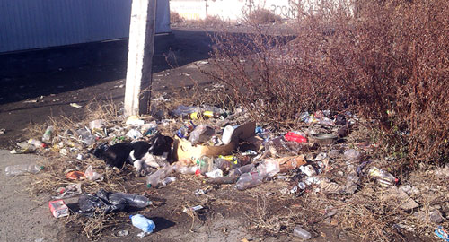 �����: � ��� ��� ���� ���������