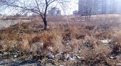 �����: � ��� ��� ���� ���������