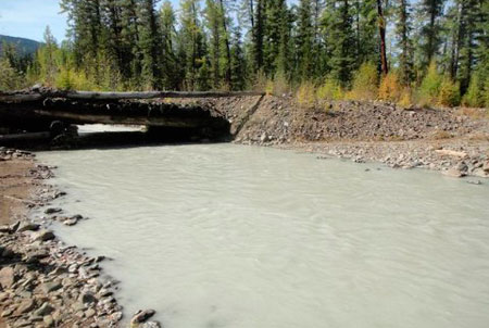 ���� ������ ������� �������?