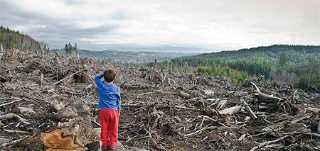 ������ ������ �����: ��� ����� �������� ������