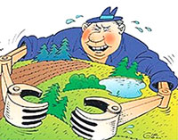 Кто наведёт порядок в садоводческом обществе?