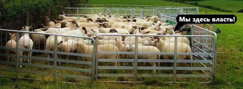 �� ����� ������!