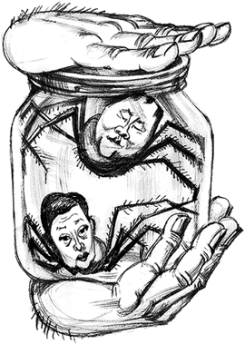 ���������� ����: ��, ��� ������ � �������!