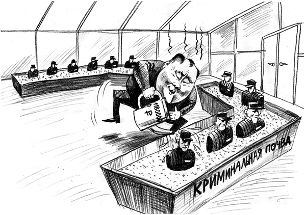 ��� ������ ������� ������ ������ ��������