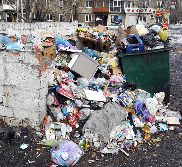 �������� ������� � ���� ����� � ����� ����