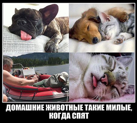 �������� �������� ����� �����, ����� ����