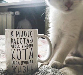 � �� ������, � �� ���� ����, ������ ��� ����� �� ������ �� �����