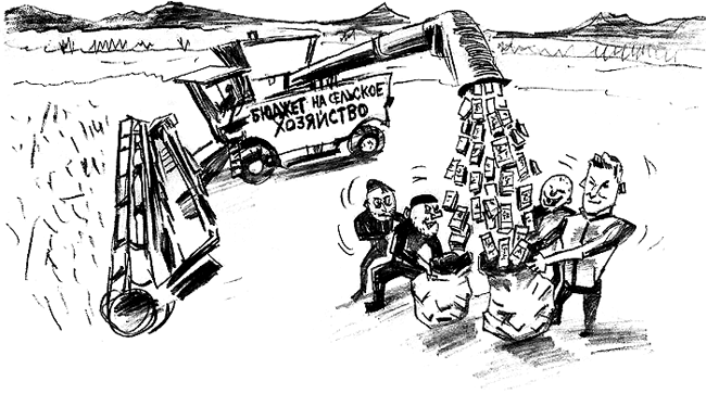 ����������� ��� ����: ��� ���� �������� ��� �������?