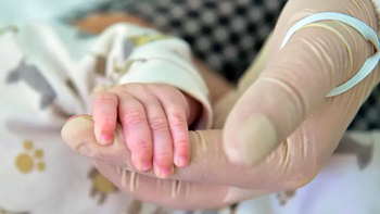 ������� �����������